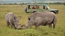 From Nairobi Ol Pejeta Conservancy Private Day Tour