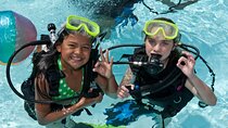 Abu Dhabi: PADI Discover Scuba Diving Program