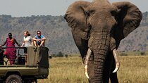10 Day Cape Town to Johannesburg: Garden Route & Kruger Park Tour