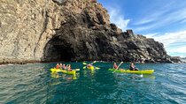 Turtle and Dolphin Watching Kayaking and Snorkeling Tour