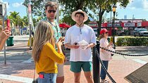 Miami City Tour: Bayside, Little Havana & Wynwood Skyline Views