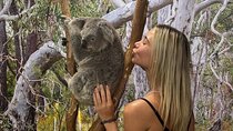 Featherdale Wildlife Park with Exclusive Private Transfers