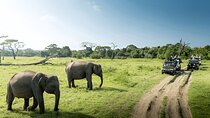 Private Tour from Weligama to Ella with Udawalawe Safari