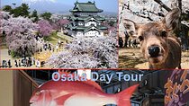 Nara, Todaiji Temple & Kuroshio Market Day BUS Tour from Osaka