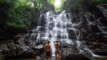 Private Day Tour To Waterfalls And Ubud Sightseeing