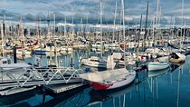 Auckland City Top Sights Half Day Tour - Small Group