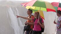 Guided Tour of Victoria Falls Zimbabwe and Zambia Experience