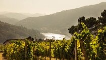 Porto: Douro Valley Exclusive Green Wine Small Group Tour