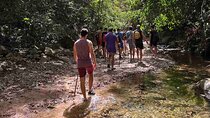 Jungle Hiking Adventure and Waterfall Swim. Nogalito Ecopark 