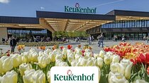 Private Keukenhof Park & Tulip Fields Tour (Skip-The-Line)