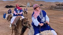 Camel ride in oasis Desert Marrakech
