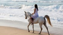 Bali Horseback Riding Experience