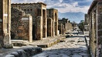 Pompeii Private Guided Tour from Rome with Lunch
