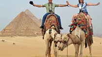 Half an Hour Camel Ride in Giza