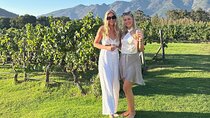 Private Luxury Wine Tour with three Wine Tastings From Cape Town