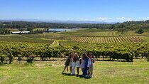 Hunter Valley Wine tasting Private Tour From Sydney