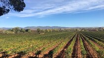 Private, premium: 3 wineries in Valencia region + winery lunch