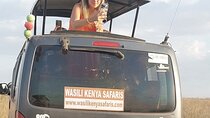 Tour Nairobi national park/Elephant & Giraffe centre
