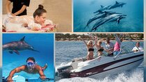 Private Speedboat To Dolphin House and Turkish Hammam - Hurghada