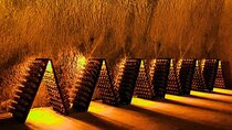 Ruinart Champagne Reims Private Half day trip from Paris