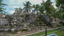 Cancun City Private Half-Day Guided Tour 