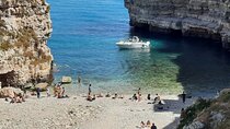 Boat Tour in Polignano a Mare and Sea Caves