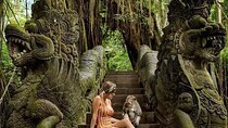 Full Day Private Ubud Tour - All Inclusive