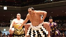 Tokyo Grand Sumo Tournament Viewing Tour