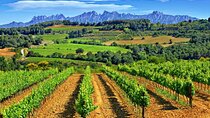 From Barcelona: El Penedès Hike & Wines