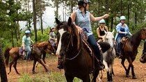 Scenic Horseback Riding Adventure Through the Atlas Mountain 
