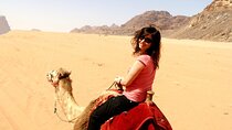 One hour Camel Ride At Amazing Desert With Transfer - Hurghada
