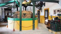 Oil Mill and Agro-Food Market from Costa del Sol Day Tour