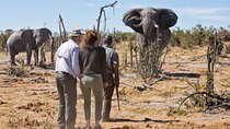 3 Day Etosha National Park Safari from Windhoek