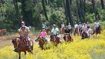 Horse Riding Experience with Hotel Transfer from Marmaris