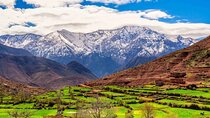 Atlas Mountains and Waterfalls Day Trip from Marrakech