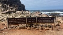 Cape Point Cape of Good Hope and Penguins Private Tour