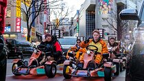 Official Japan Go-Kart Through Shibuya / Shinjuku