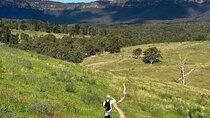 Blue Mountains Private Tour - Hiking 