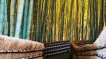 Kyoto: Arashiyama, bamboo forest and beyond