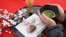 Matcha Picnic in Tokyo – A Unique Cultural Outdoor Experience