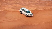 Desert Safari Tour Dubai Camel Ride and Buggy and Quad Biking