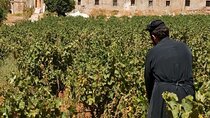 A Private Tour of Wine, Olive Oil Tasting, and Chania Exploration