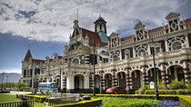 Dunedin 4 Hrs halfday Private Tour