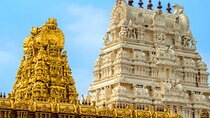 Private Day Trip to Kanchipuram and Mahabalipuram from Chennai