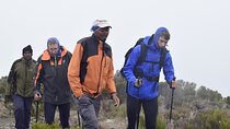 Climb Mount Kilimanjaro in 7 Days 6 Nights Using Lemosho Route