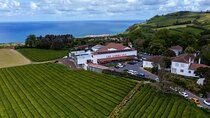 São Miguel : Cascades Route, Furnaces and Tea Plantation