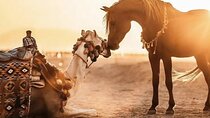 Agadir Camel or Horse Ride – Scenic Desert Adventure