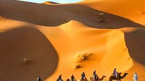 Authentic 3-Day Tour From Marrakech to the Merzouga Desert