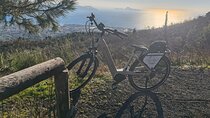 Vesuvius E-Bike Tour Experience from Naples with train