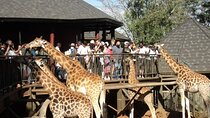 Giraffe Center Nairobi National Park with Carnivore Restaurant